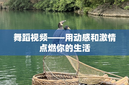 舞蹈视频——用动感和激情点燃你的生活