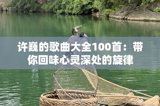 许巍的歌曲大全100首：带你回味心灵深处的旋律