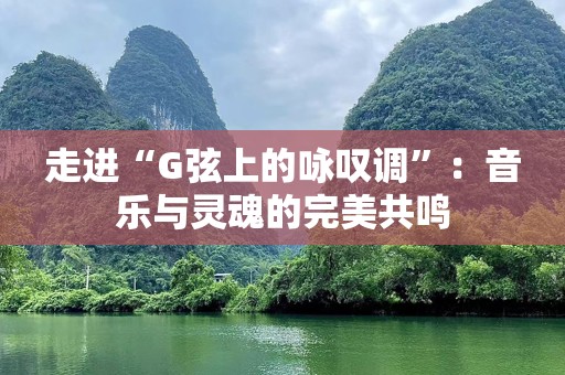 走进“G弦上的咏叹调”：音乐与灵魂的完美共鸣
