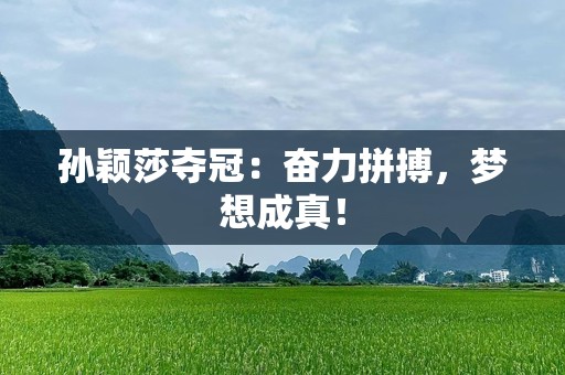 孙颖莎夺冠：奋力拼搏，梦想成真！