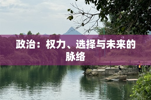 政治：权力、选择与未来的脉络