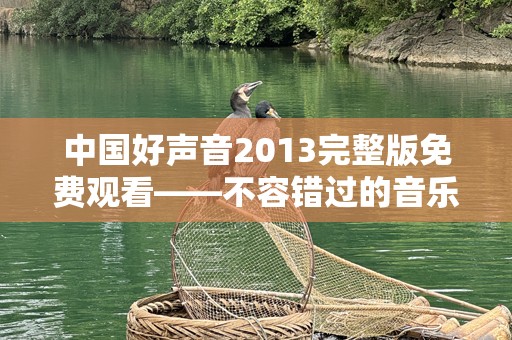 中国好声音2013完整版免费观看——不容错过的音乐盛宴