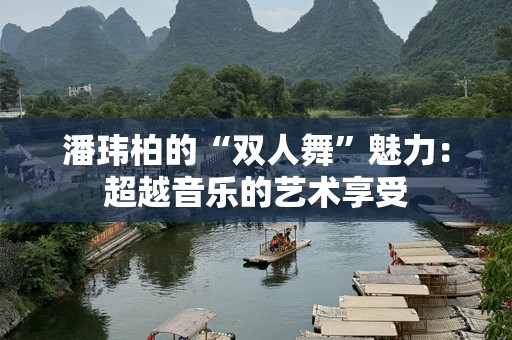 潘玮柏的“双人舞”魅力：超越音乐的艺术享受