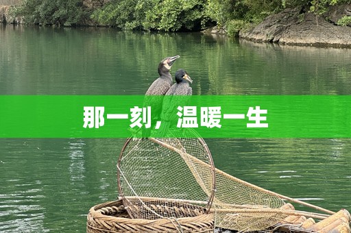 那一刻，温暖一生
