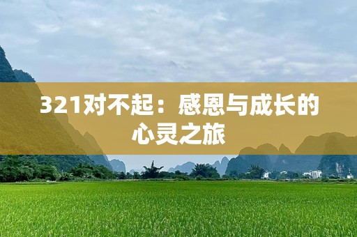 321对不起：感恩与成长的心灵之旅