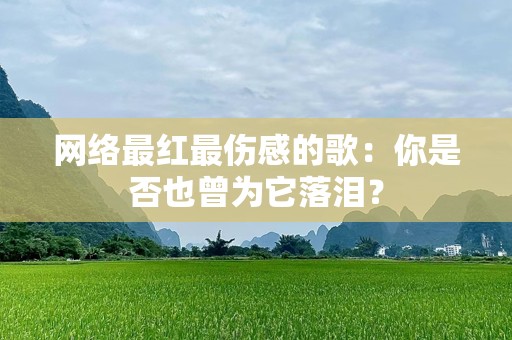 网络最红最伤感的歌：你是否也曾为它落泪？