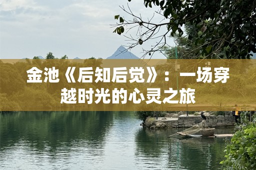 金池《后知后觉》：一场穿越时光的心灵之旅