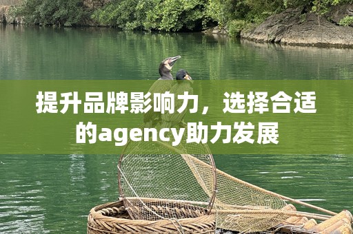 提升品牌影响力，选择合适的agency助力发展