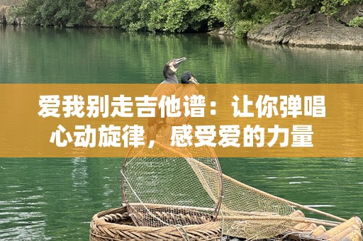 爱我别走吉他谱：让你弹唱心动旋律，感受爱的力量