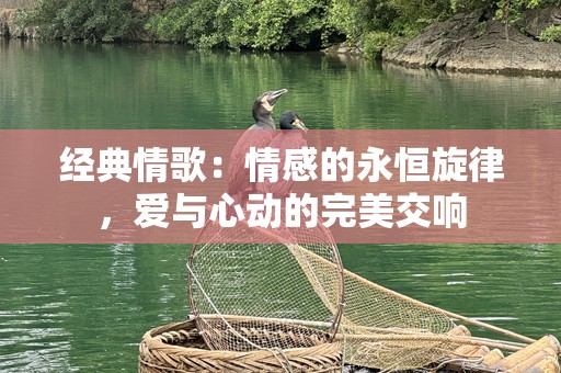 经典情歌：情感的永恒旋律，爱与心动的完美交响
