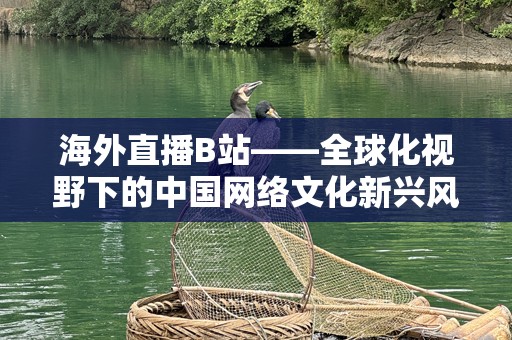 海外直播B站——全球化视野下的中国网络文化新兴风口