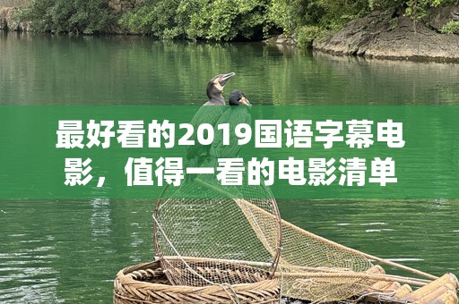 最好看的2019国语字幕电影，值得一看的电影清单