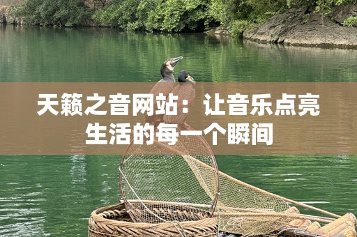 天籁之音网站：让音乐点亮生活的每一个瞬间