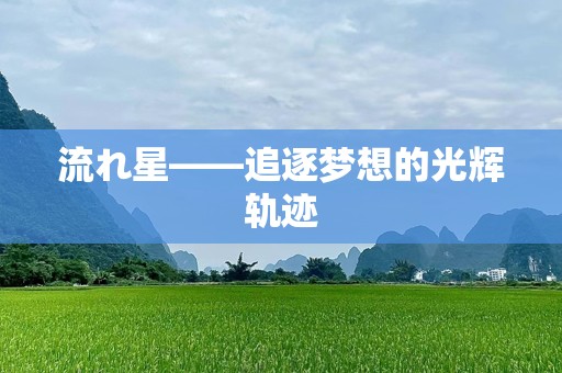 流れ星——追逐梦想的光辉轨迹