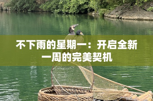 不下雨的星期一：开启全新一周的完美契机