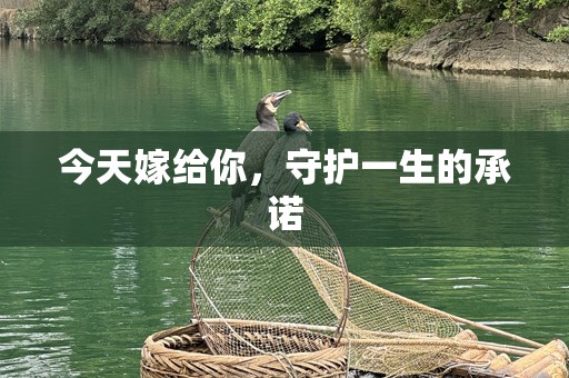 今天嫁给你，守护一生的承诺