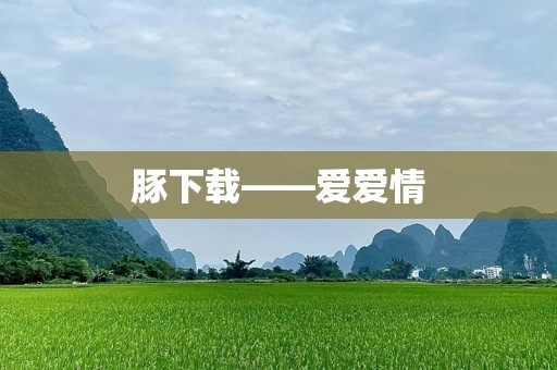 豚下载——爱爱情