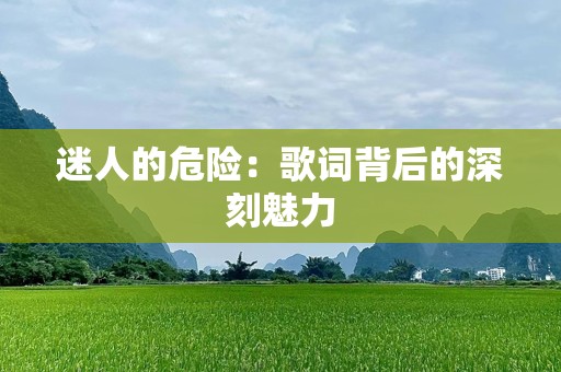 迷人的危险：歌词背后的深刻魅力