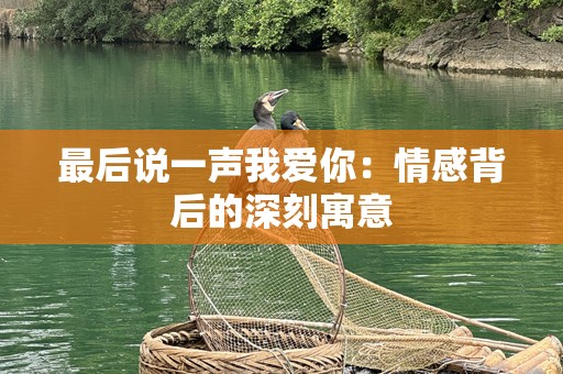 最后说一声我爱你：情感背后的深刻寓意
