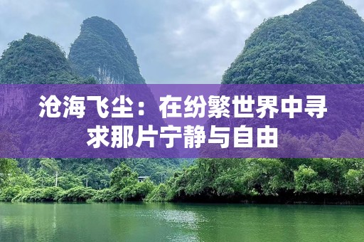 沧海飞尘：在纷繁世界中寻求那片宁静与自由