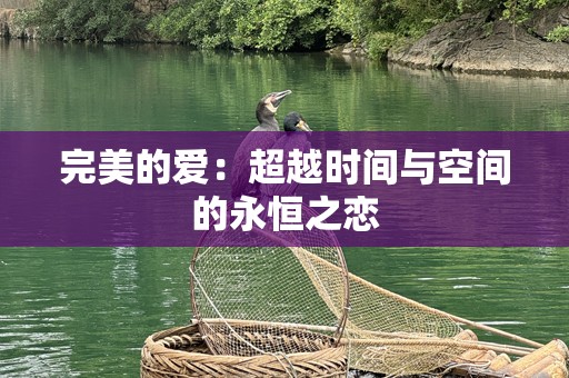 完美的爱：超越时间与空间的永恒之恋