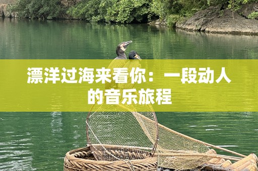 漂洋过海来看你：一段动人的音乐旅程