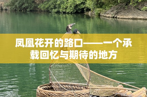 凤凰花开的路口——一个承载回忆与期待的地方