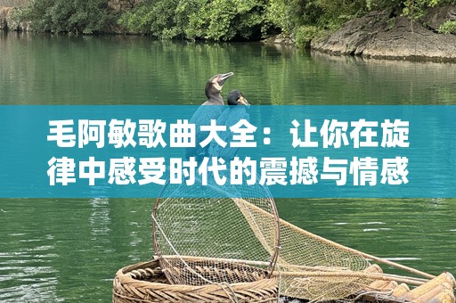 毛阿敏歌曲大全：让你在旋律中感受时代的震撼与情感的共鸣