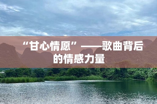 “甘心情愿”——歌曲背后的情感力量
