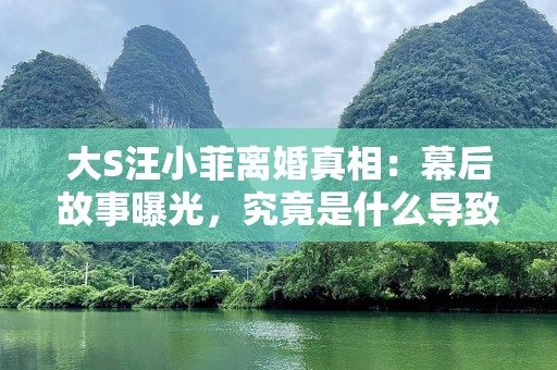 大S汪小菲离婚真相：幕后故事曝光，究竟是什么导致了这段婚姻的破裂？
