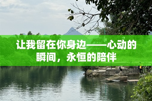 让我留在你身边——心动的瞬间，永恒的陪伴