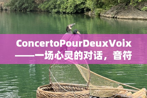 ConcertoPourDeuxVoix——一场心灵的对话，音符中的浪漫与灵魂的交织