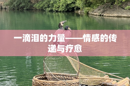 一滴泪的力量——情感的传递与疗愈