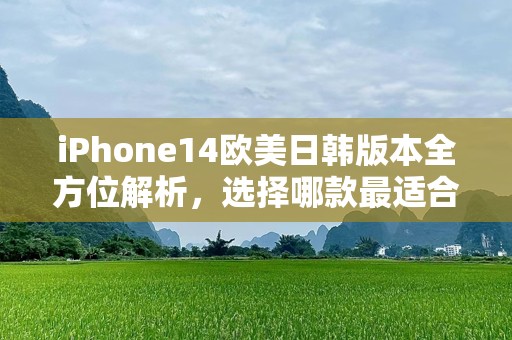 iPhone14欧美日韩版本全方位解析，选择哪款最适合你？