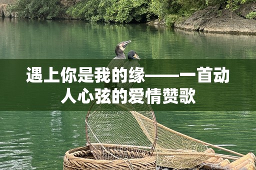 遇上你是我的缘——一首动人心弦的爱情赞歌