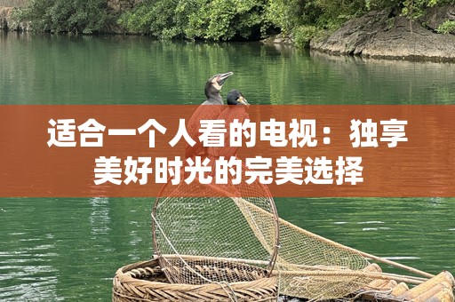 适合一个人看的电视：独享美好时光的完美选择