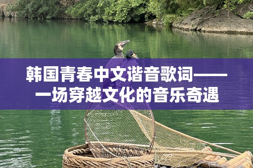 韩国青春中文谐音歌词——一场穿越文化的音乐奇遇