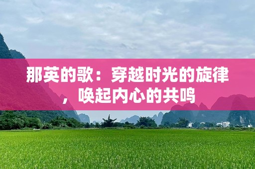那英的歌：穿越时光的旋律，唤起内心的共鸣