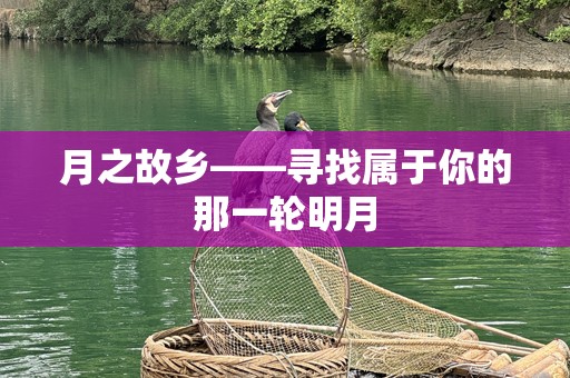 月之故乡——寻找属于你的那一轮明月