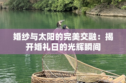婚纱与太阳的完美交融：揭开婚礼日的光辉瞬间