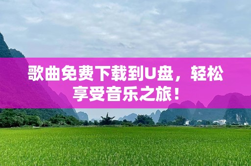 歌曲免费下载到U盘，轻松享受音乐之旅！