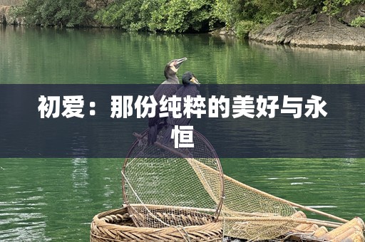 初爱：那份纯粹的美好与永恒
