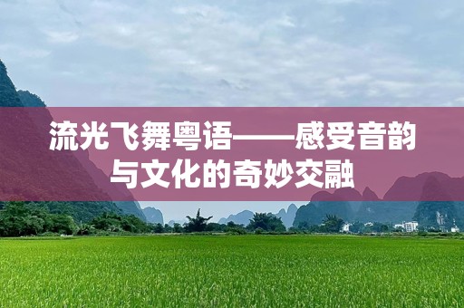 流光飞舞粤语——感受音韵与文化的奇妙交融