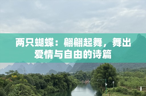 两只蝴蝶：翩翩起舞，舞出爱情与自由的诗篇