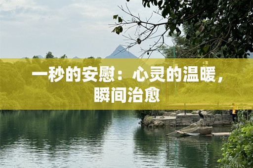 一秒的安慰：心灵的温暖，瞬间治愈