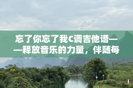 忘了你忘了我C调吉他谱——释放音乐的力量，伴随每个感动时刻