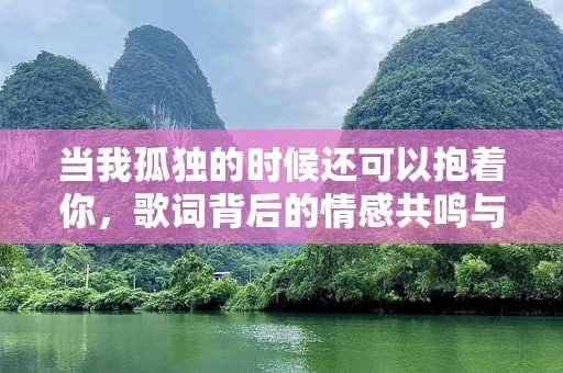 当我孤独的时候还可以抱着你，歌词背后的情感共鸣与心灵安慰