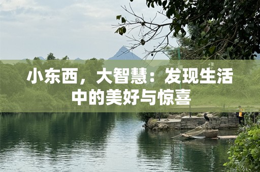 小东西，大智慧：发现生活中的美好与惊喜