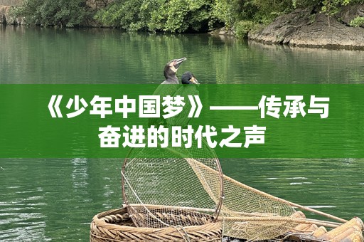 《少年中国梦》——传承与奋进的时代之声