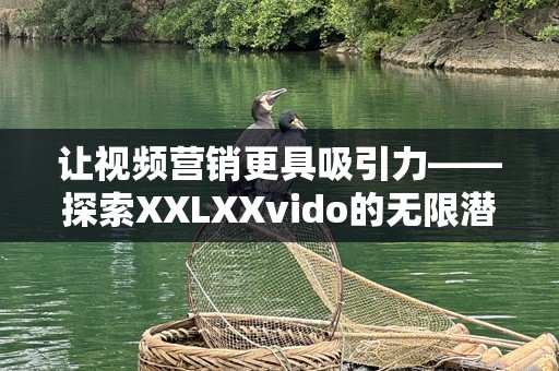 让视频营销更具吸引力——探索XXLXXvido的无限潜力